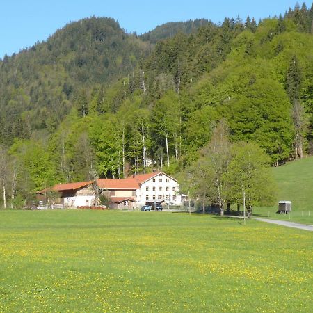 Gasthof Fallmuehle Pfronten Εξωτερικό φωτογραφία