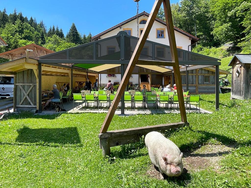 Gasthof Fallmuehle Pfronten Εξωτερικό φωτογραφία