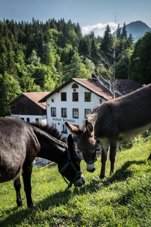 Gasthof Fallmuehle Pfronten Εξωτερικό φωτογραφία