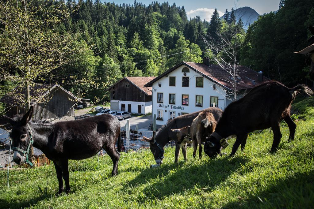 Gasthof Fallmuehle Pfronten Εξωτερικό φωτογραφία